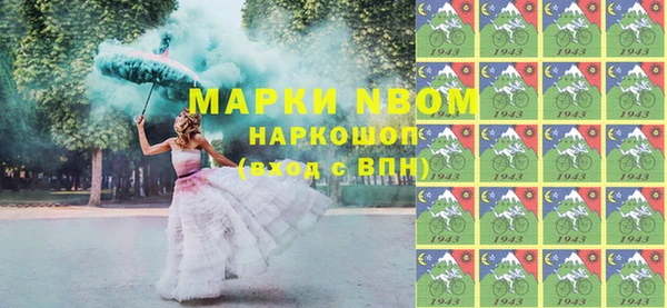 индика Чегем