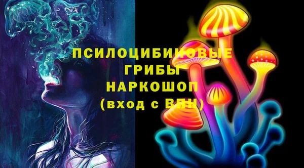 гашик Инсар