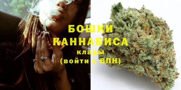 гашик Инсар