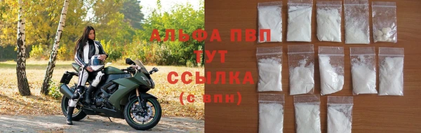 гашик Инсар
