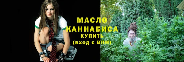 крисы Каменка