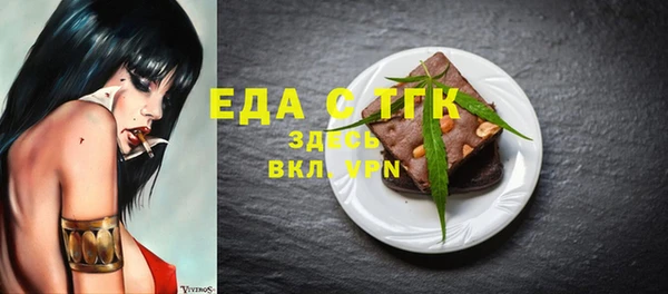 гашик Инсар