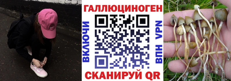 Псилоцибиновые грибы мухоморы  Купить  Малоярославец 